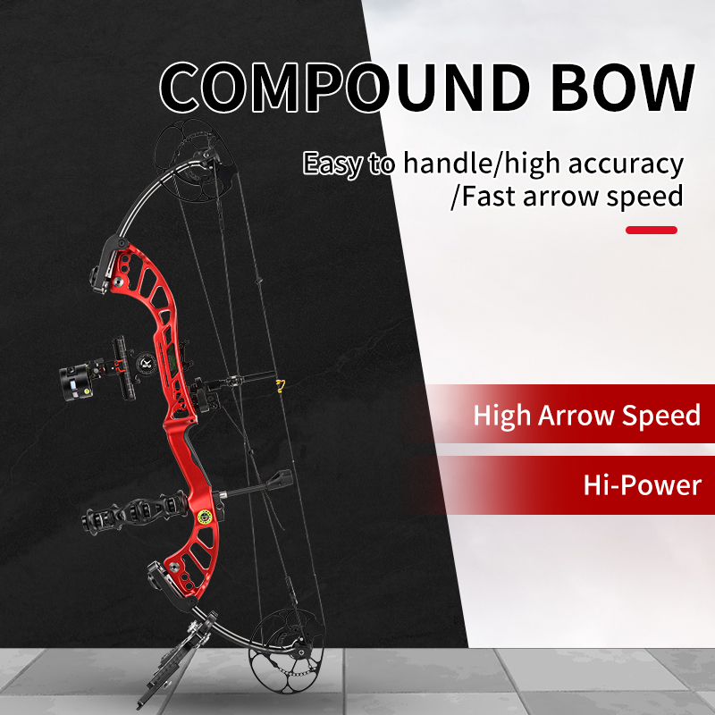 Compound Bow Archery Hunting M - огляд і ціна Hunting Bow Compound