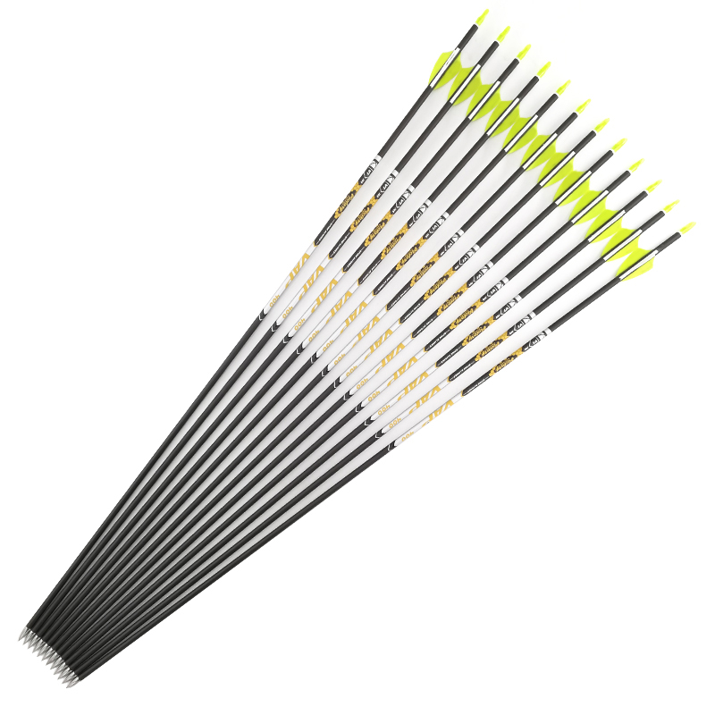Archery Spine 350 400 450 500  - огляд і ціна Hunting Bow Compound