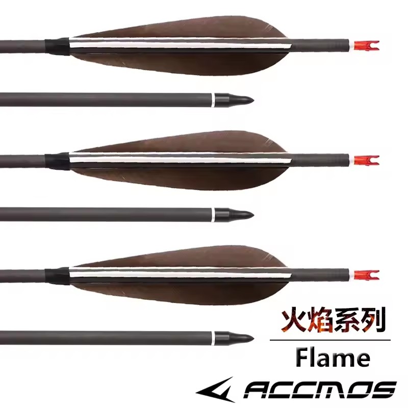 ACCMOS 33inch Pure Carbon Arro - огляд і ціна Hunting Bow Compound