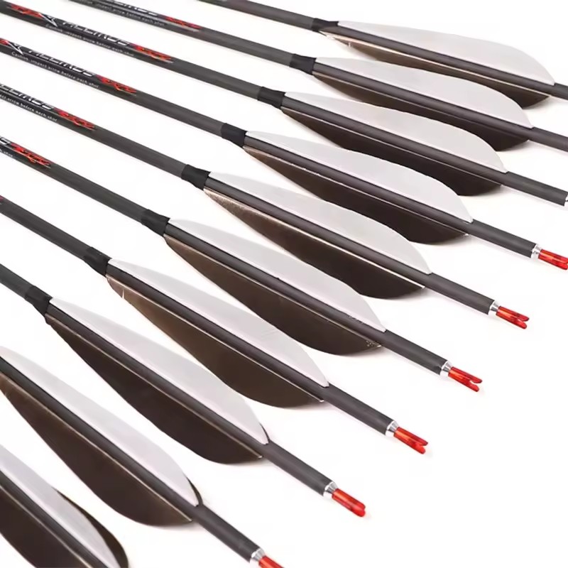 ACCMOS 33inch Pure Carbon Arro - огляд і ціна Hunting Bow Compound