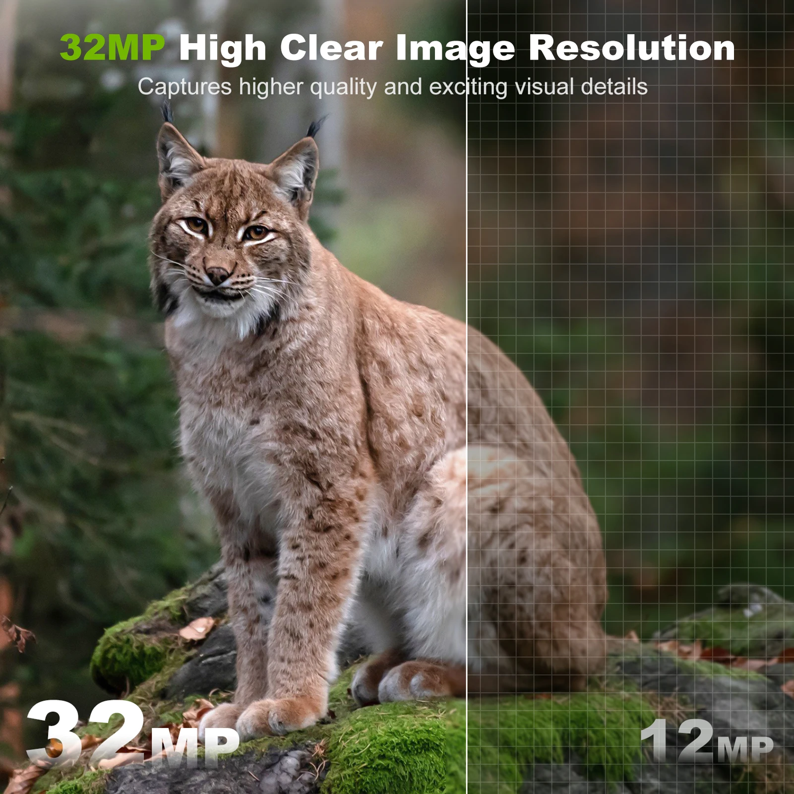 Solar Camera Outdoor Wireless  - огляд і ціна Outdoor Hunting Camera Wireless