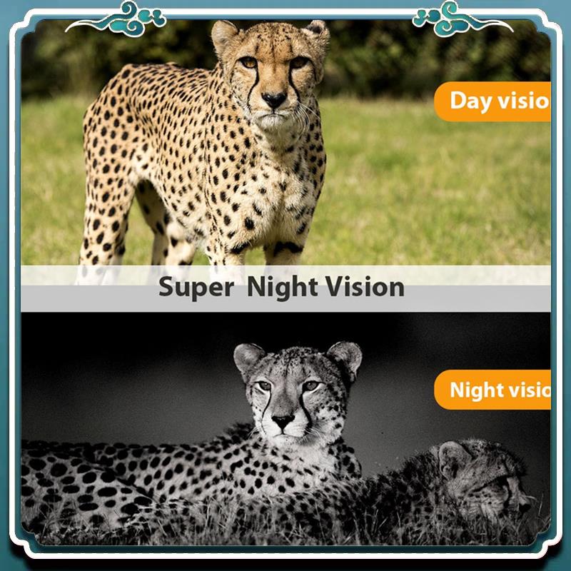 Wildlife Hunting Camera HC-801 - огляд і ціна Outdoor Hunting Camera Wireless