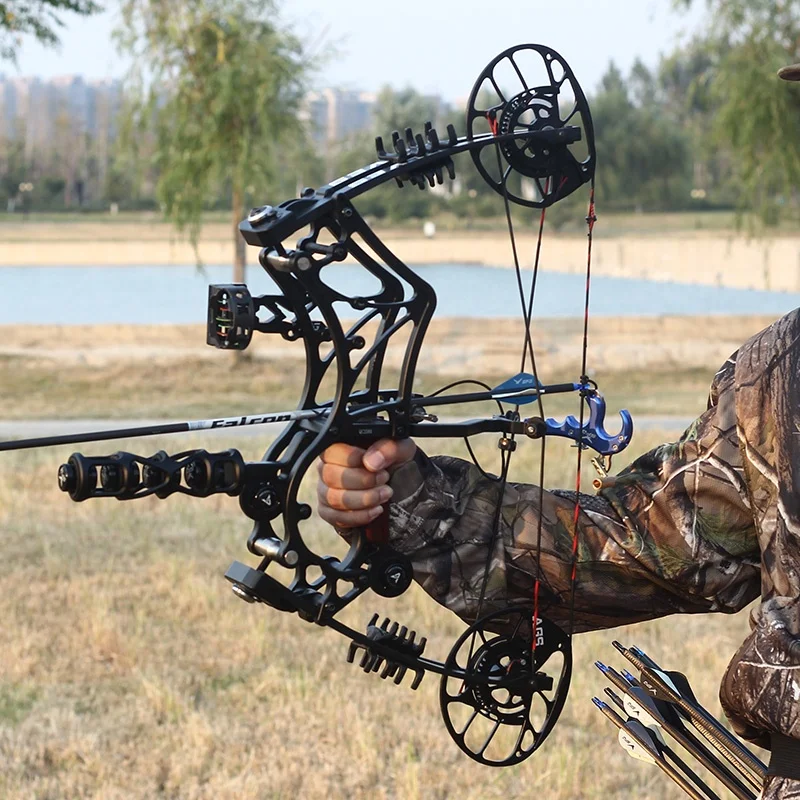 Compound Bow Catapult Steel Ba - огляд і ціна Hunting Bow Compound